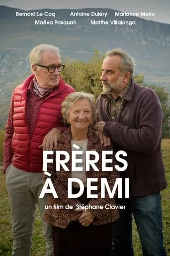 Frères à demi movie poster - Rated 5/10