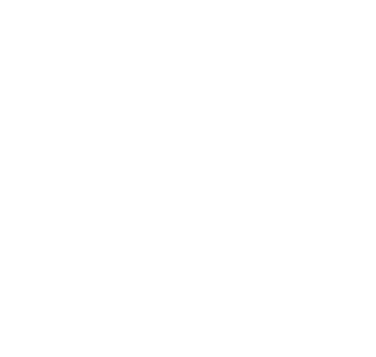 King Skate