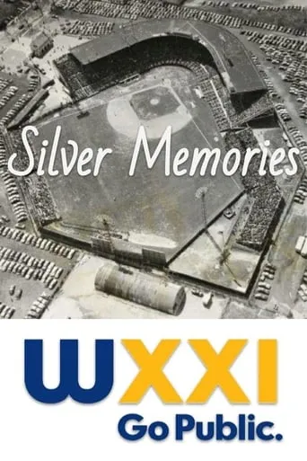 Silver Memories movie poster - Rated 8/10
