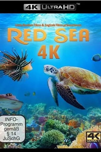 Red Sea movie poster - Rated 6.5/10