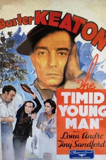 The Timid Young Man movie poster - Rated 5/10