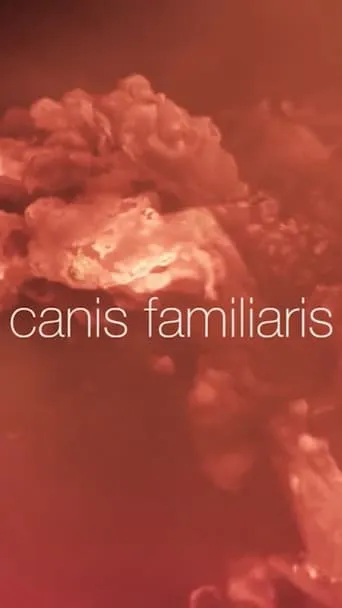 Canis familiaris movie poster - Entertainment content