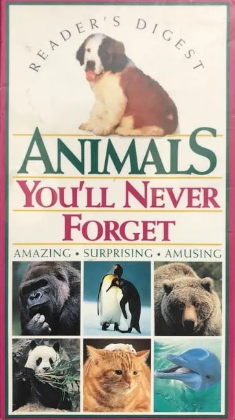 Animals You'll Never Forget movie poster - Rated 7/10