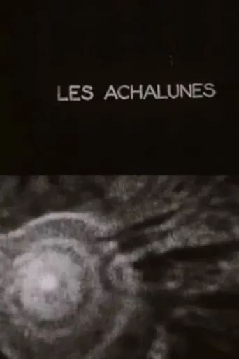 The Achalunés movie poster - Rated 7/10