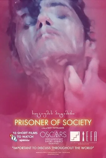 Prisoner of Society movie poster - Rated 3/10