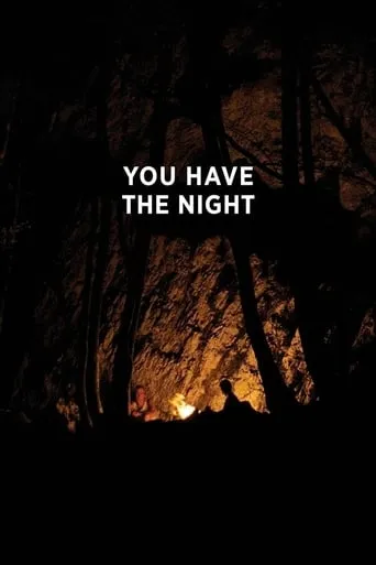 You Have the Night movie poster - Rated 4.3/10