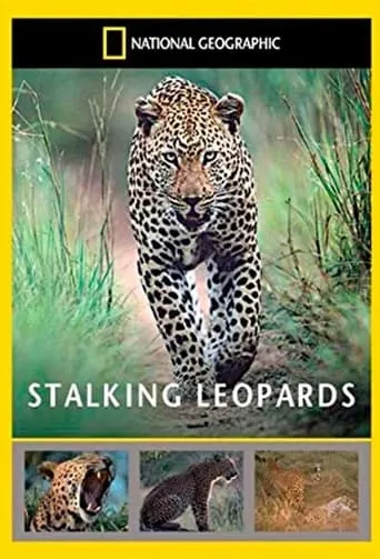 Stalking Leopards movie poster - Rated 10/10