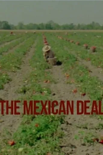 Le Deal mexicain movie poster - Rated 5/10