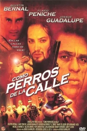 Como Perros de la Calle movie poster - Rated 5/10