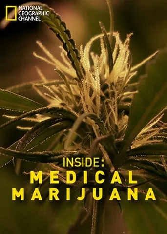 Inside: Medical Marijuana movie poster - Entertainment content