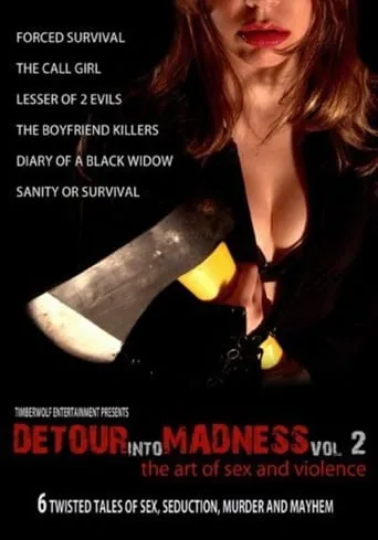 Detour Into Madness Vol. 2 movie poster - Rated 6/10