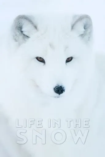 Life In The Snow movie poster - Rated 8.2/10