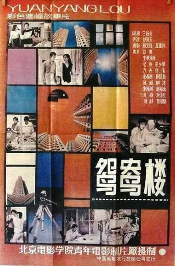 The Young Couple Apartment movie poster - Entertainment content
