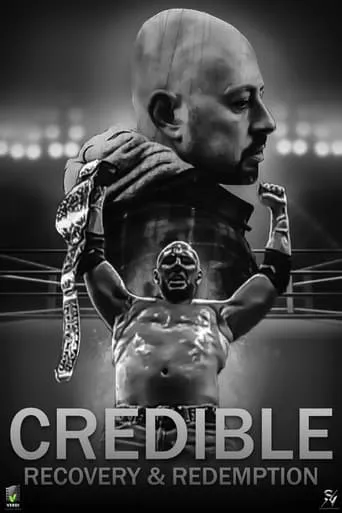Credible movie poster - Entertainment content