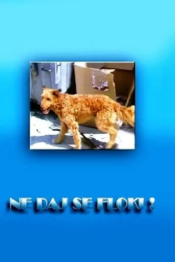 Don't Give in, Flockey! movie poster - Entertainment content