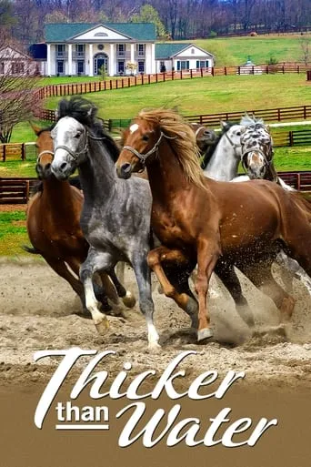 Thicker Than Water movie poster - Rated 6/10
