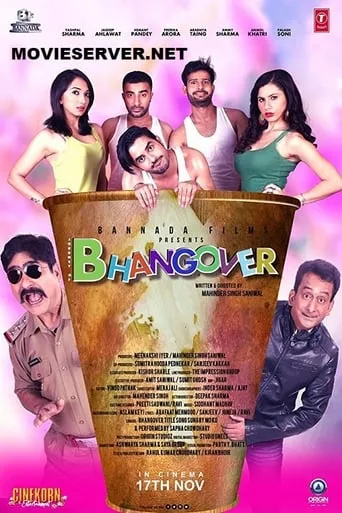 Bhangover movie poster - Rated 5/10