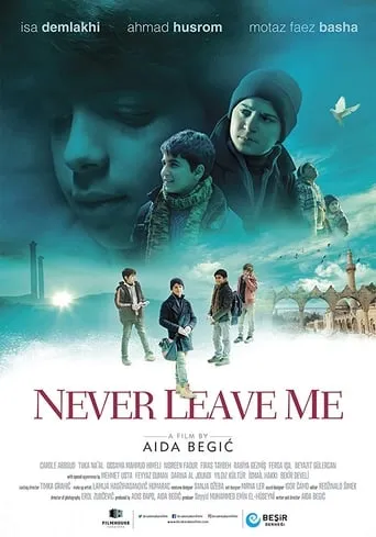 Never Leave Me movie poster - Rated 4/10