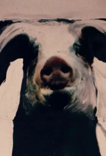 The Trail of the Pig movie poster - Entertainment content
