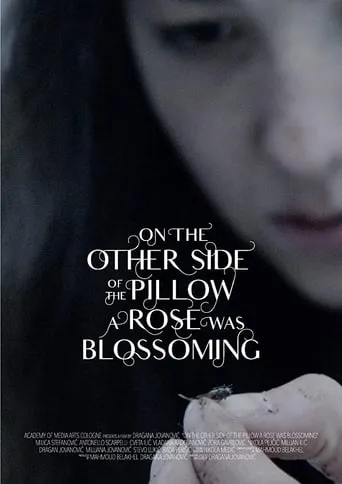 On the Other Side of the Pillow a Rose Was Blossoming movie poster - Rated 5/10
