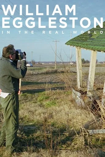 William Eggleston in the Real World movie poster - Rated 6.4/10