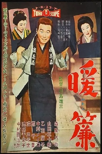 The Shop Curtain movie poster - Entertainment content