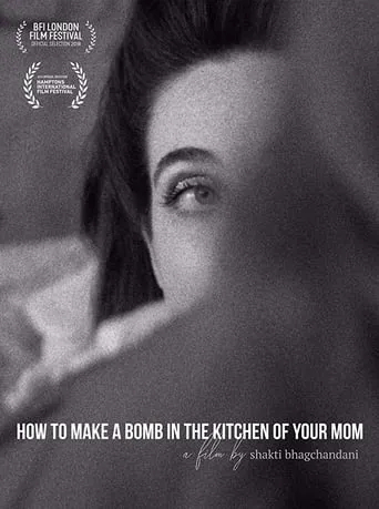 How to Make a Bomb in the Kitchen of Your Mom movie poster - Entertainment content