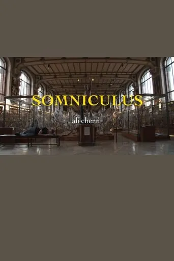 Somniculus movie poster - Entertainment content