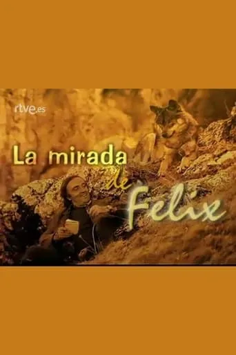 La mirada de Félix movie poster - Entertainment content