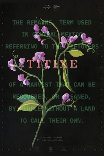 Titixe movie poster - Rated 6.3/10