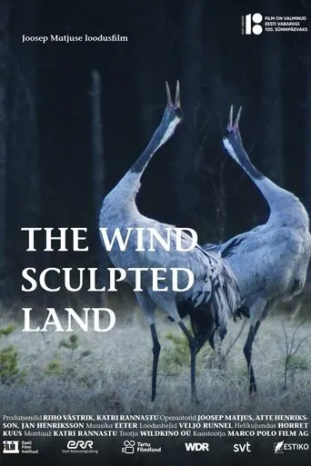 The Wind Sculpted Land movie poster - Rated 8/10