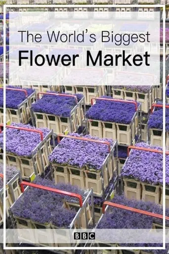 The World's Biggest Flower Market movie poster - Entertainment content