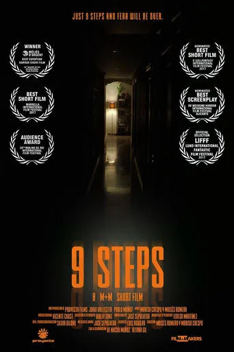 9 Steps movie poster - Rated 7.6/10