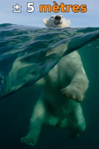 ± 5 Meters From the Surface of the Oceans movie poster - Entertainment content