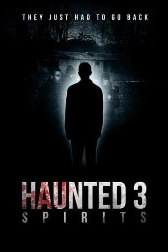 Haunted 3: Spirits movie poster - Rated 4.2/10