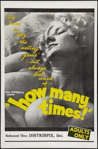 How Many Times movie poster - Rated 3.5/10