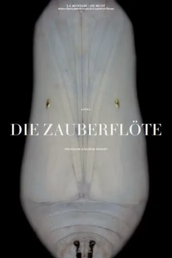 Mozart: Die Zauberflöte movie poster - Entertainment content