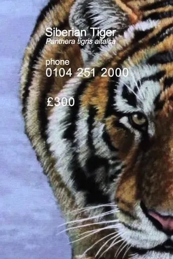 Siberian Tiger movie poster - Entertainment content
