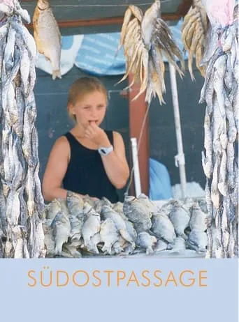 Southeast Passage movie poster - Entertainment content