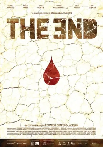 The End movie poster - Rated 5/10