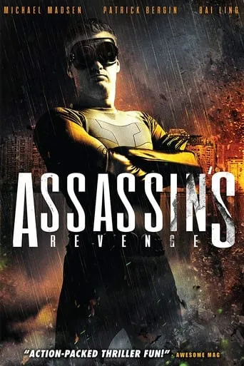 Assassins Revenge movie poster - Rated 4/10