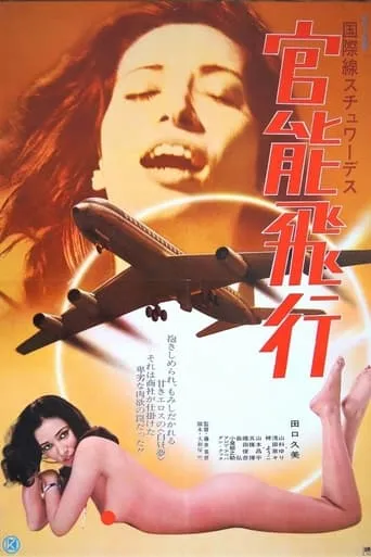 International Stewardess: Erotic Flight movie poster - Rated 2/10