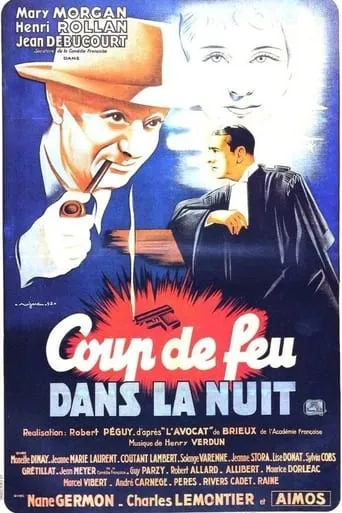 Coup de feu dans la nuit movie poster - Entertainment content