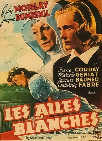 White Wings movie poster - Entertainment content