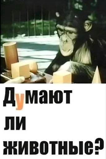 Do Animals Think? movie poster - Entertainment content