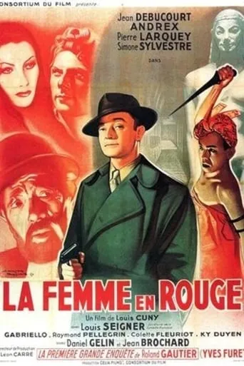 The Woman in Red movie poster - Entertainment content
