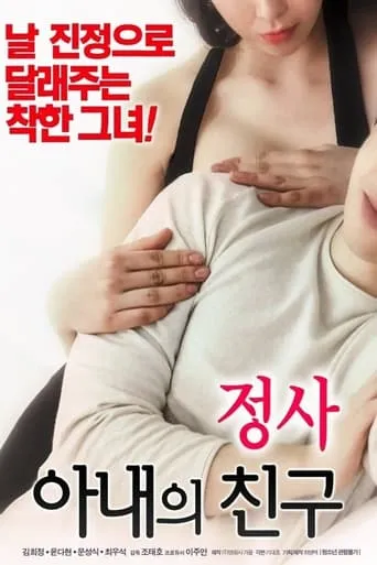 An Affair: My Wife's Friend movie poster - Rated 5.8/10