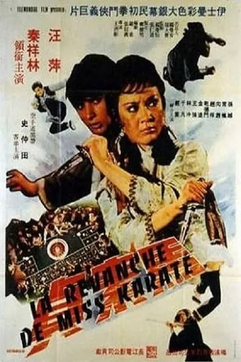 The Sister of the San-Tung Boxer movie poster - Entertainment content