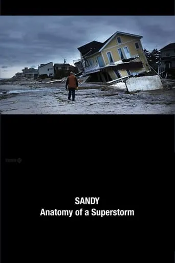 Sandy: Anatomy of a Superstorm movie poster - Entertainment content