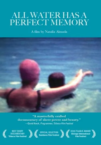 All Water Has a Perfect Memory movie poster - Entertainment content